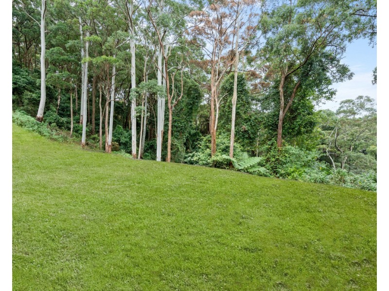 79 Meadow Road, Springfield NSW 2250