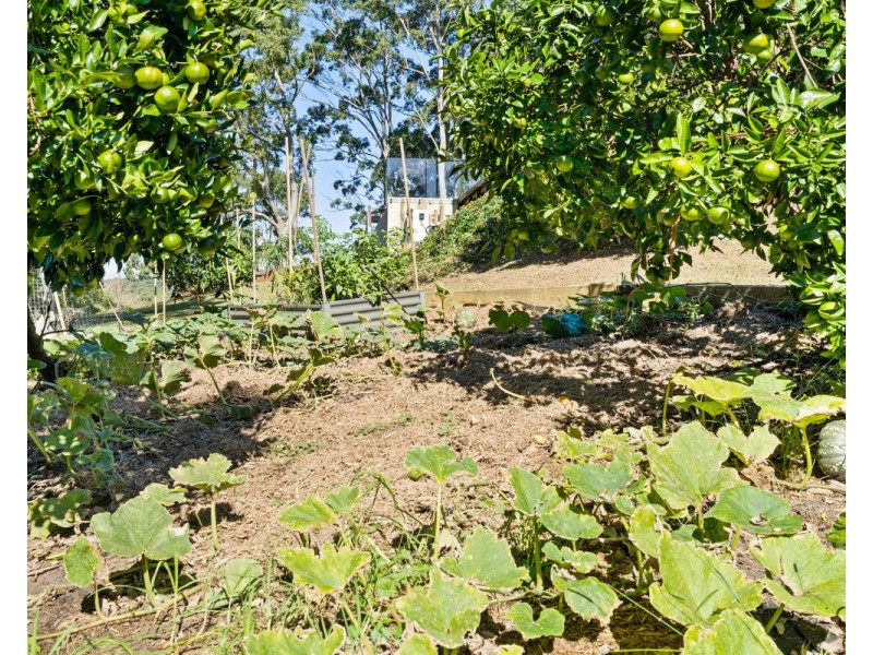 45 Manor Hill Close, Holgate NSW 2250