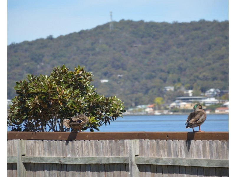 81 Victory Parade, Tascott NSW 2250