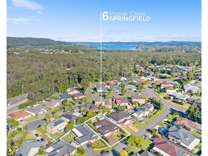 6 Poplar Close, Springfield NSW 2250