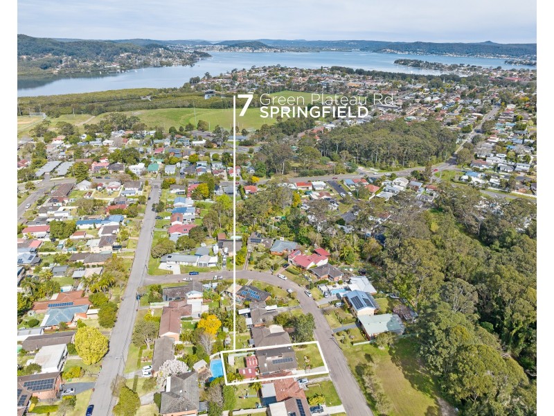 7 Green Plateau Road, Springfield NSW 2250