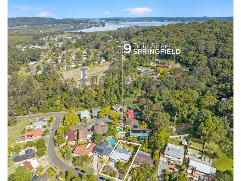 9 Tulip Street, Springfield NSW 2250