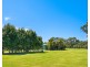 13 Beaverdale Place, Tumbi Umbi NSW 2261