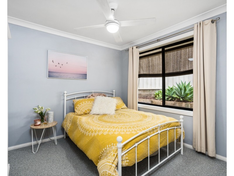 11 Watergum Place, Springfield NSW 2250