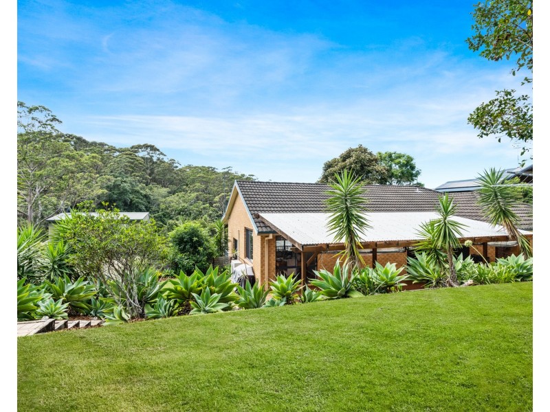 11 Watergum Place, Springfield NSW 2250