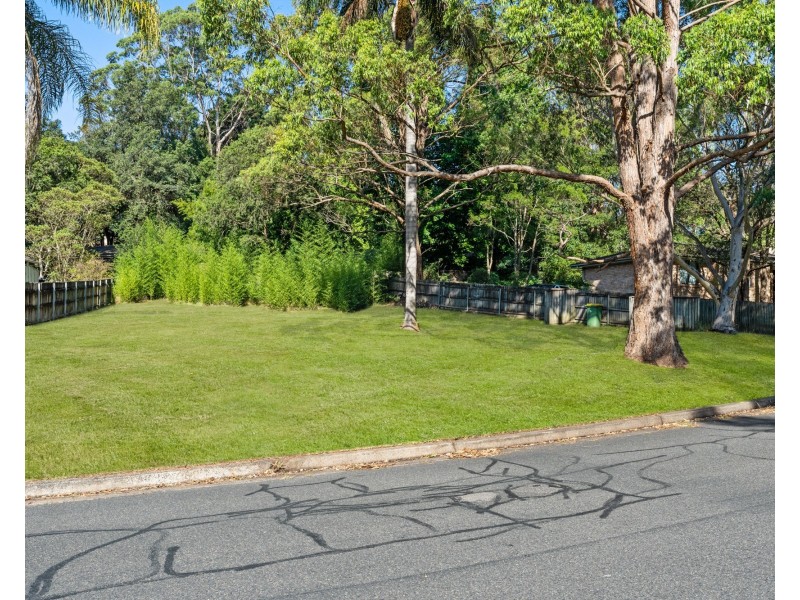 61 Sherwood Drive, Springfield NSW 2250