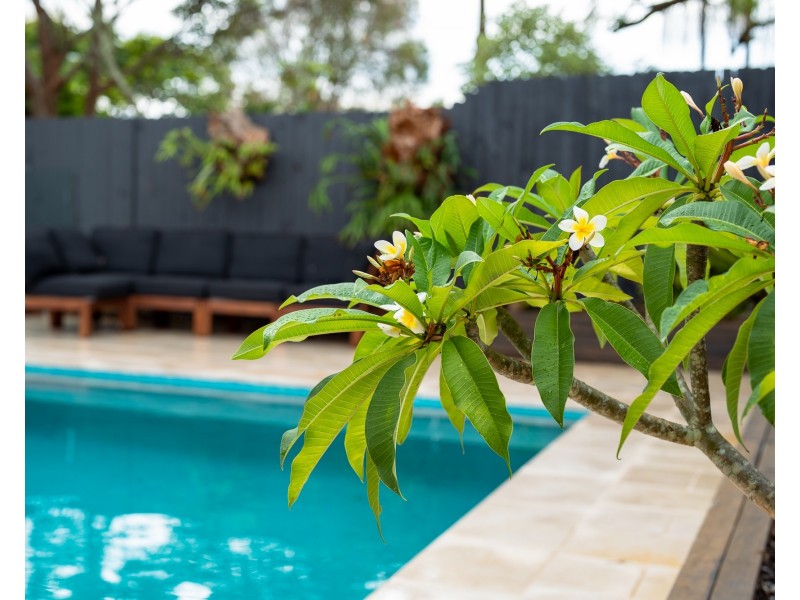 15 Garafalo Road, Kariong NSW 2250