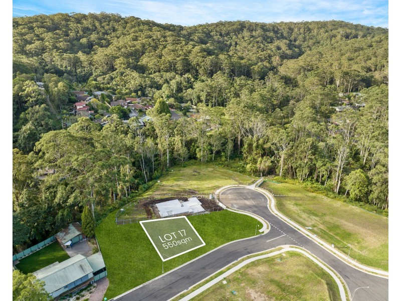 7 Yellow Box Avenue, Springfield NSW 2250