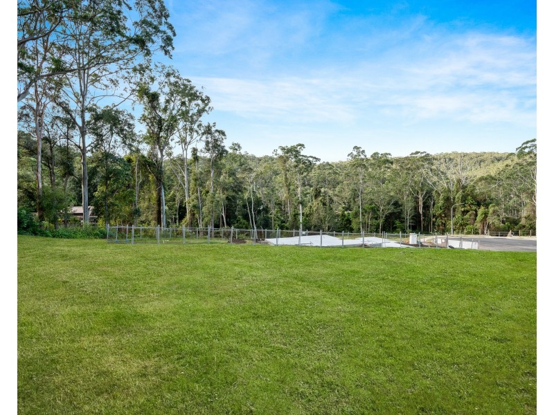 7 Yellow Box Avenue, Springfield NSW 2250