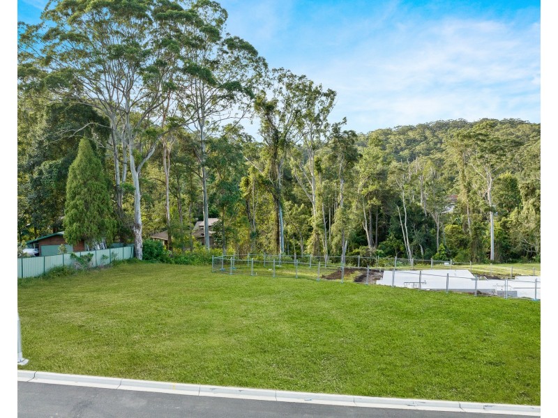 7 Yellow Box Avenue, Springfield NSW 2250