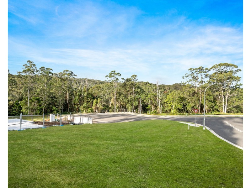 7 Yellow Box Avenue, Springfield NSW 2250