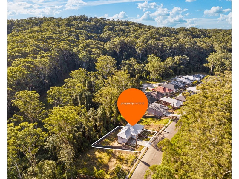 99 Chamberlain Road, Wyoming NSW 2250