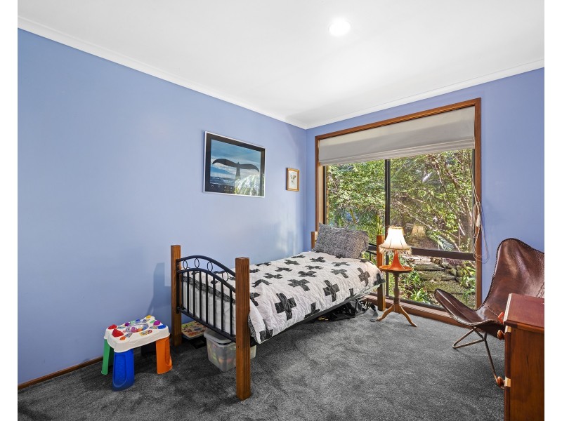 18 Tulip Street, Springfield NSW 2250