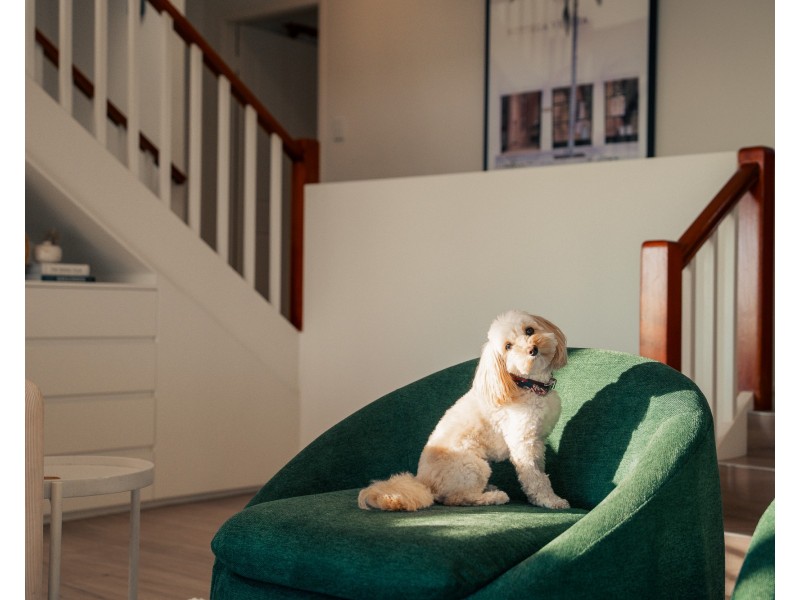 10 Ascot Avenue, Avoca Beach NSW 2251