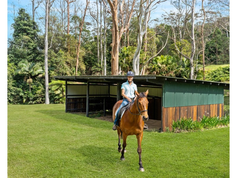 263 Peach Orchard Road, Fountaindale NSW 2258