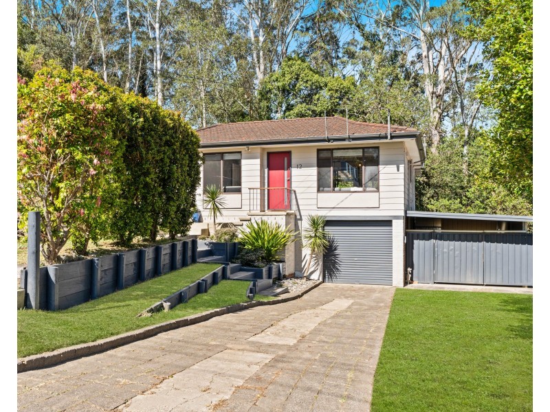 12 Elkhorn Close, Wyoming NSW 2250