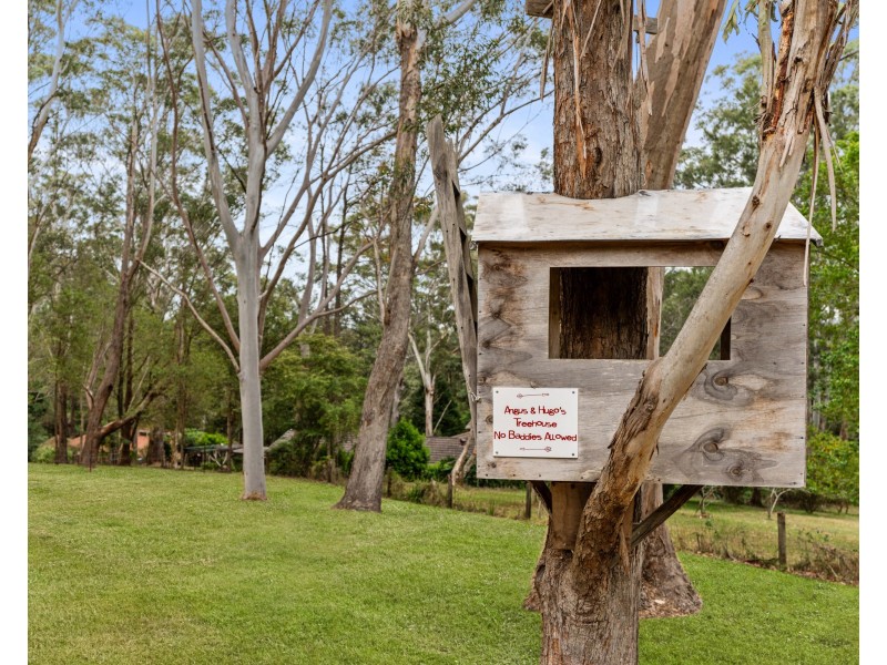 39 Meadow Road, Springfield NSW 2250