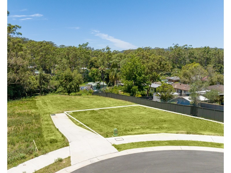 12 Arum Close, Springfield NSW 2250