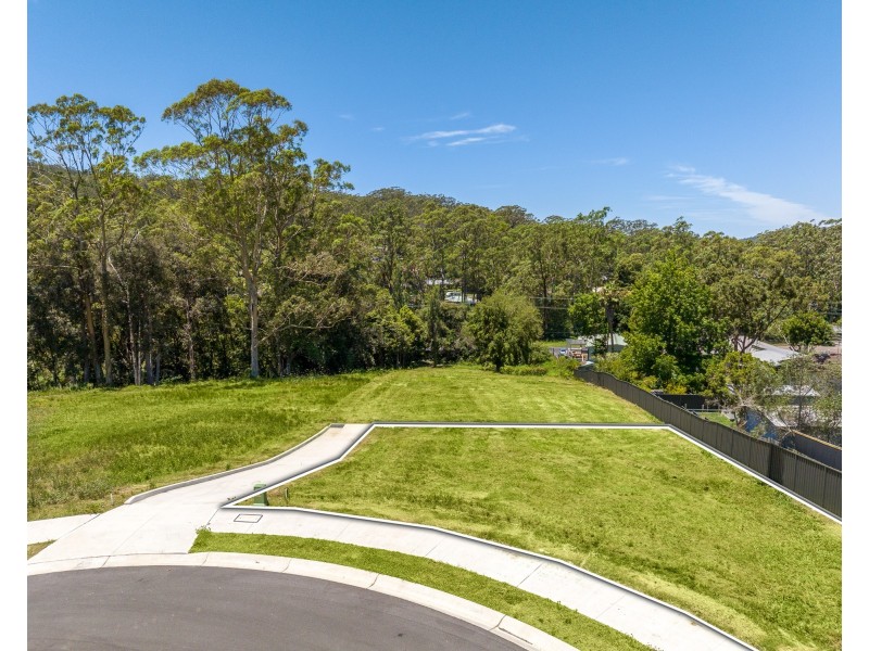 12 Arum Close, Springfield NSW 2250