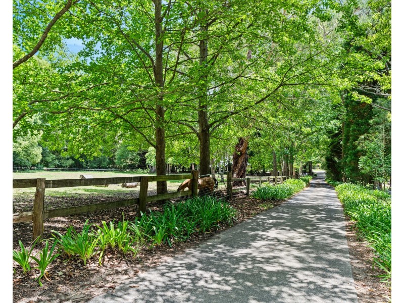 4/170 Oak Road, Matcham NSW 2250