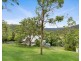 1272 Yarramalong Road, Wyong Creek NSW 2259