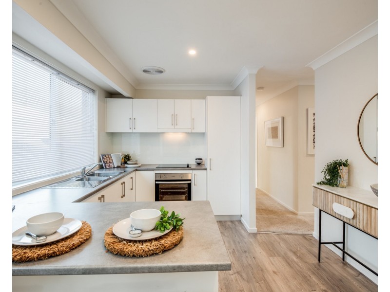 11 River Street, Springfield NSW 2250