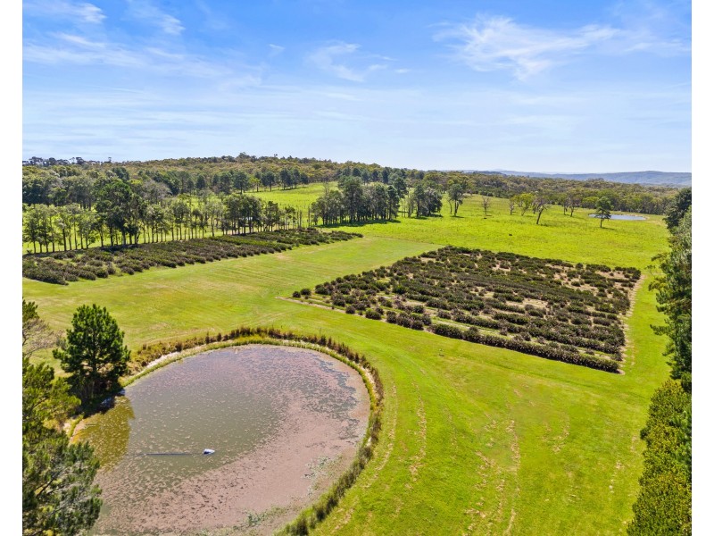 45 Lackersteens Road, Somersby NSW 2250