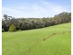 168 Pacific Highway, Ourimbah NSW 2258
