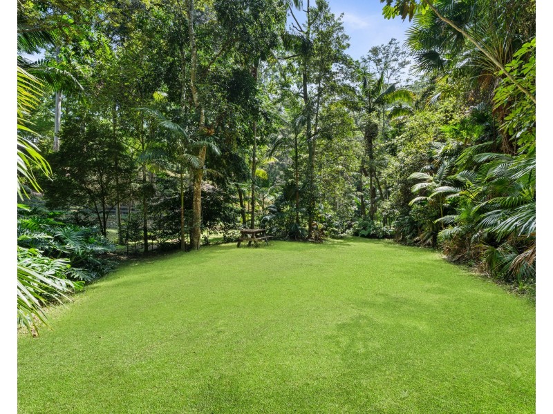 447 Wattle Tree Road, Holgate NSW 2250
