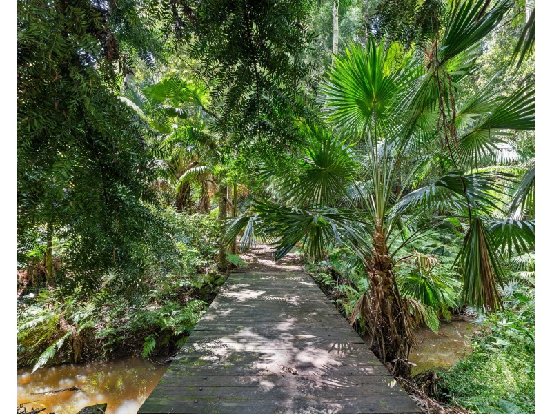 447 Wattle Tree Road, Holgate NSW 2250
