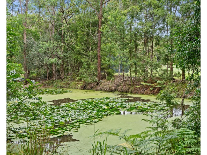 25 Wilamara Place, Mardi NSW 2259