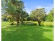 63 The Valley Way, Mardi NSW 2259