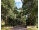 38 Lauffs Lane, Wyong Creek NSW 2259