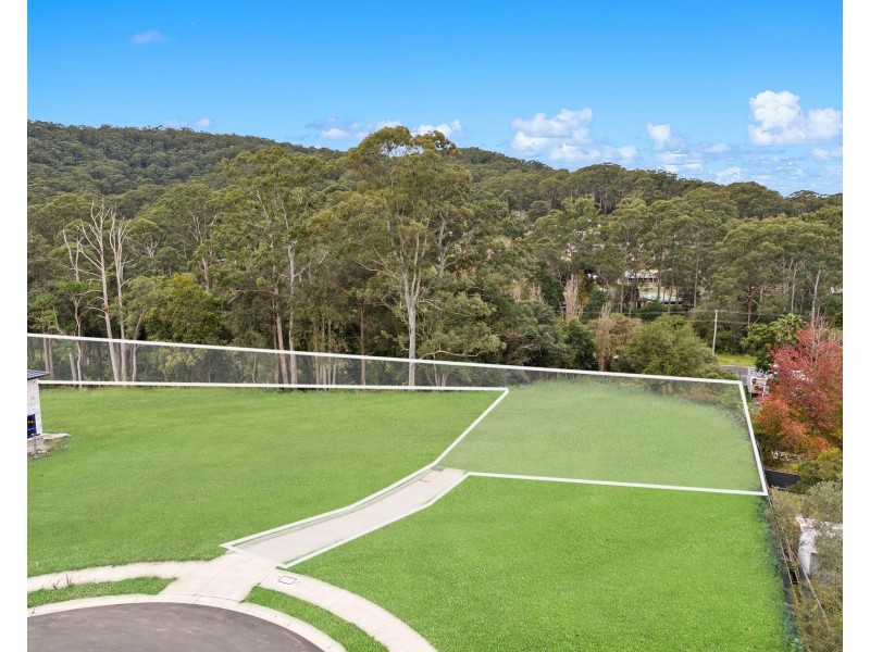 11 Arum Close, Springfield NSW 2250