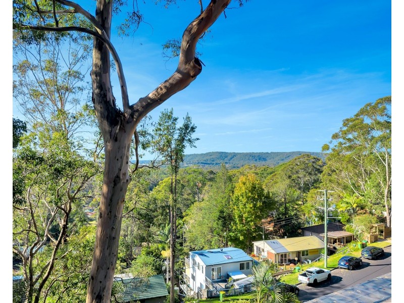 35a Alison Road, Springfield NSW 2250