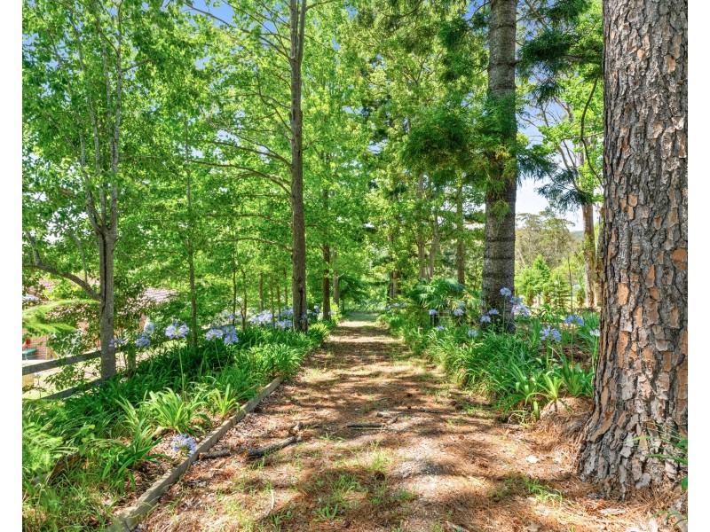 99 The Ridgeway, Lisarow NSW 2250