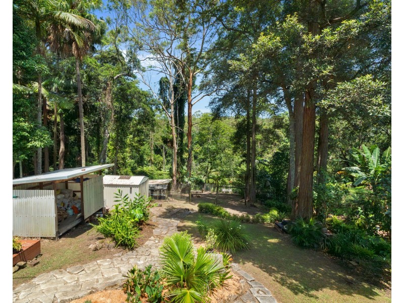 36 Rain Forest Road, Wyoming NSW 2250