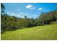 462 Wattle Tree Road, Holgate NSW 2250