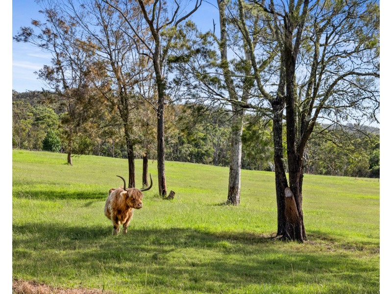 101 Pacific Highway, Mount White NSW 2250