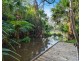 10 Watergum Place, Springfield NSW 2250
