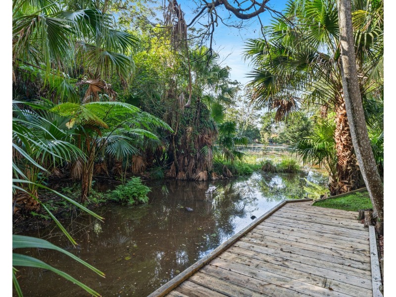10 Watergum Place, Springfield NSW 2250