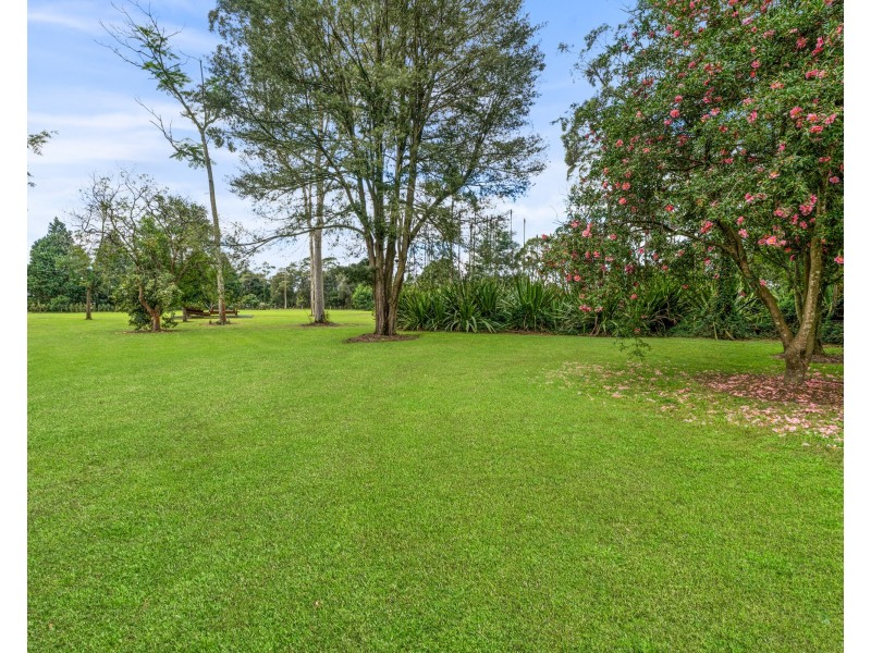 191 Bloodtree Road, Mangrove Mountain NSW 2250