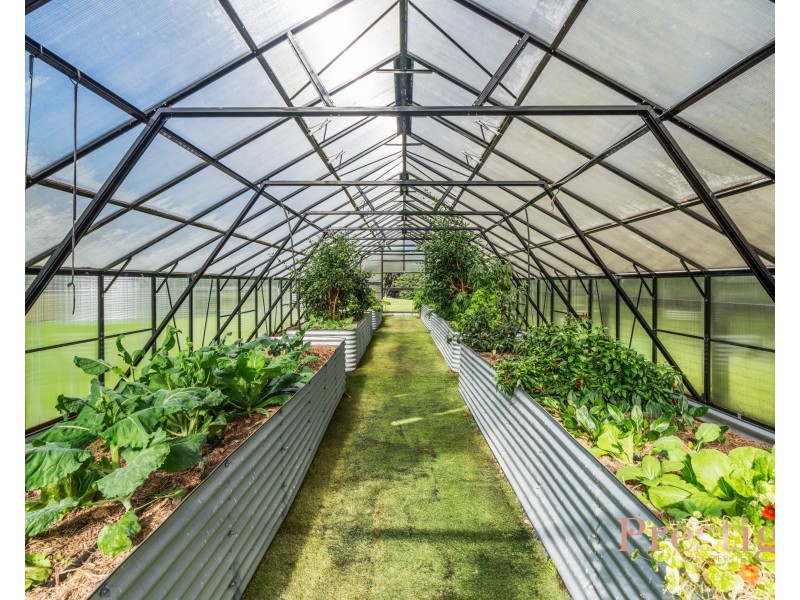 53 Lees Lane, Tumbi Umbi NSW 2261