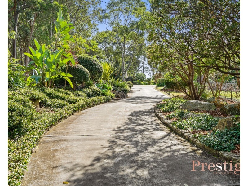 17 Currawong Road, Wamberal NSW 2260