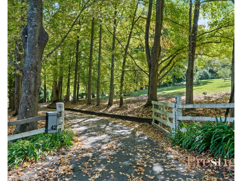 42 McGarrity Avenue, Matcham NSW 2250