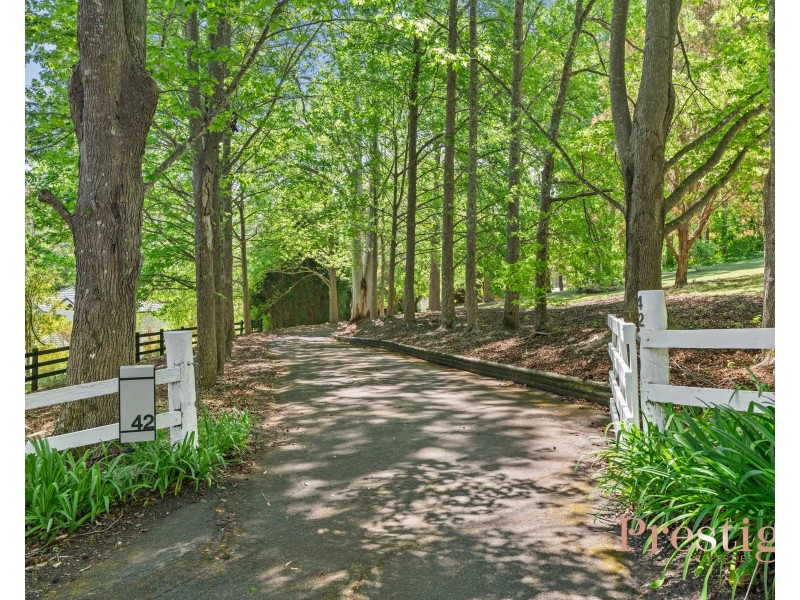 42 McGarrity Avenue, Matcham NSW 2250