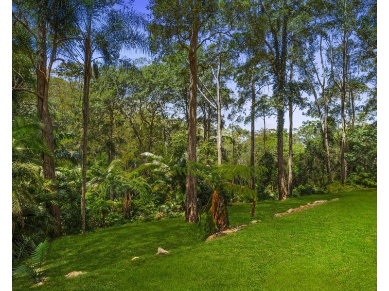 46 Marana Road, Springfield NSW 2250