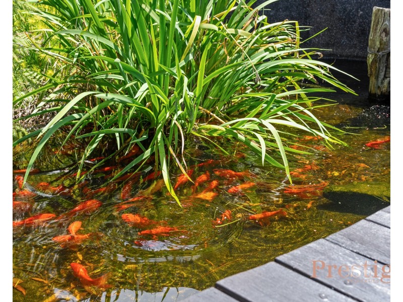 3 Indra Road, Tascott NSW 2250