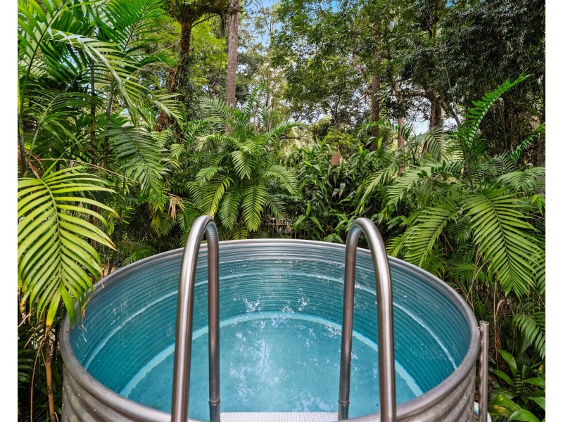 40 Rain Forest Road, Wyoming NSW 2250