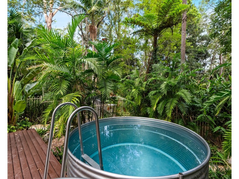 40 Rain Forest Road, Wyoming NSW 2250